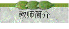 教师简介