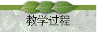 教学过程