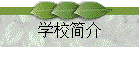 学校简介