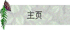 主页