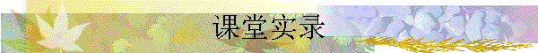 ʵ¼