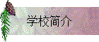 ѧУ