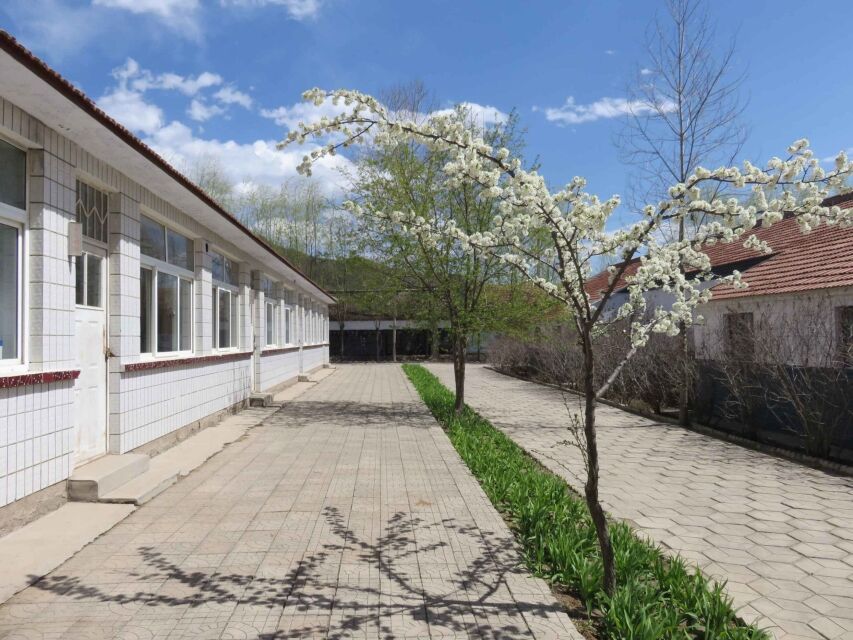 学校
