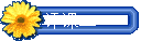 ζ