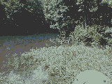 7.gif (71962 bytes)