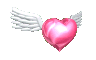 51.gif (10294 ֽ)