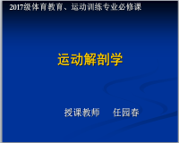 上肢骨及骨连结视频