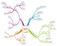 东风路小学-王秀娟-思维导图