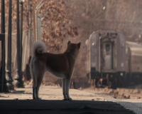 忠犬八公的故事预告片