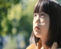 我想吃掉你的胰脏