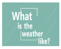 what is the weather like?