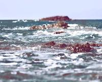 青岛旅游小攻略1