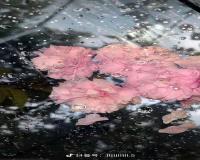 生成式人工智能教育应用场景