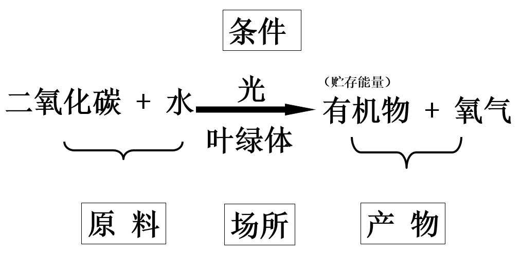 光合作用公式