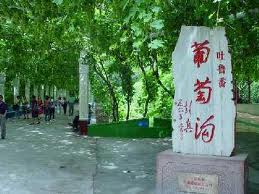 203葡萄沟