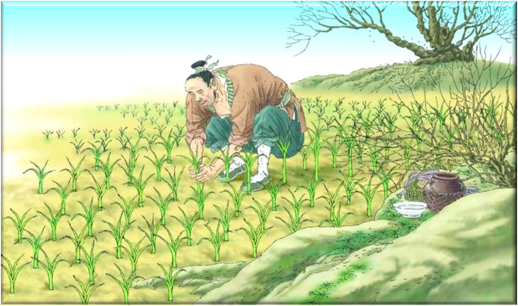 紫蓬镇中心学校—余姐—《寓言两则》教学设计—2012年6月