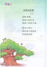 《老树的故事》教案