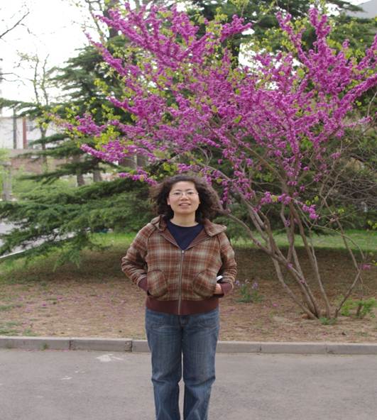 跨越名师-董会荣