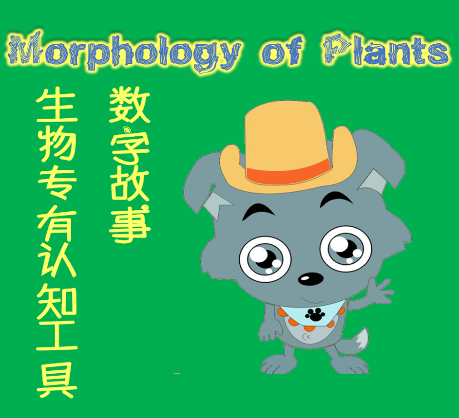 生物专有认知工具【Morphology of Plants】