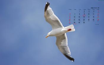 201409万海鹏学习月报