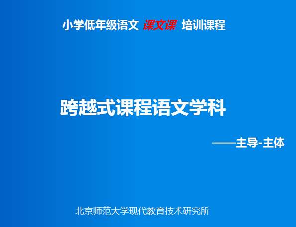主导-主体理念
