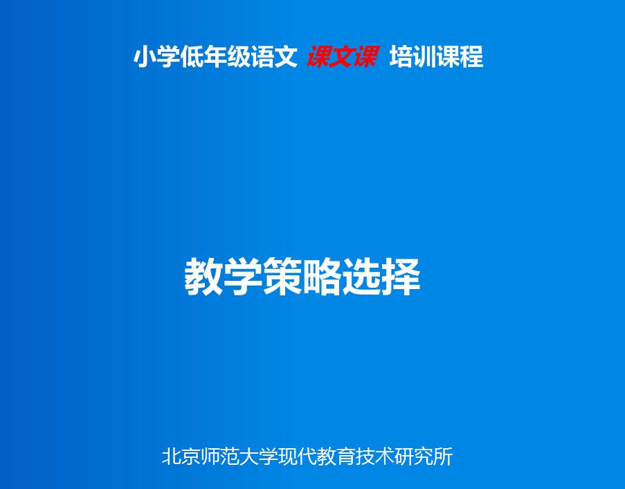 教学策略选择
