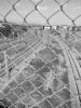大同市白登山森林公园