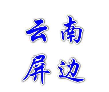 2012年11月云南屏边指导文件集
