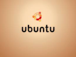 ubuntu下搭建web服务器