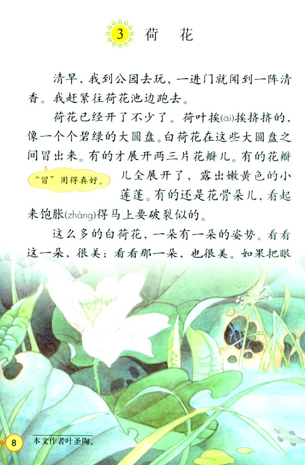 3.荷花   所有资源